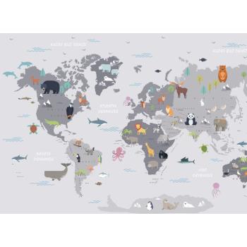 Çocuk odası Dünya Haritası Duvar Kağıdı  290x215 cm