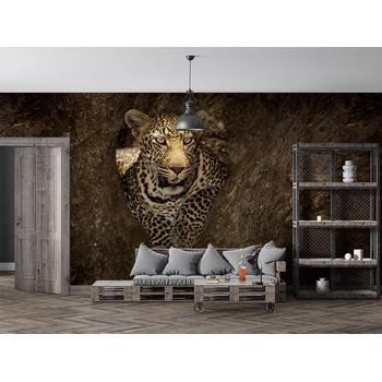 Ağaçların Arasında Leopar Duvar Kağıdı