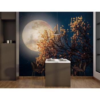 Ay ışığında Ağaç Dalları Manzarası Duvar Kağıdı