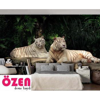 Beyaz Kaplanlar Duvar Kağıdı