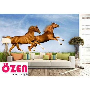 Çimenlerde Koşan Atlar Duvar Kağıdı