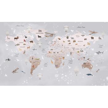 Eğitici Dünya Haritası Duvar Kağıdı Çocuk Odaları için 350x230 cm