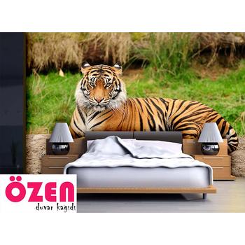 Kaplan Resimli Duvar Kağıdı