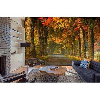 Muhteşem Derinlik Sonbahar Manzarası