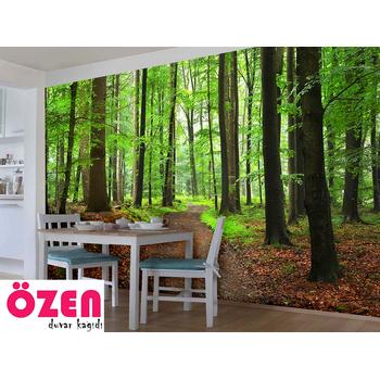 Muhteşem Ferah Orman Manzarası Duvar Kağıdı