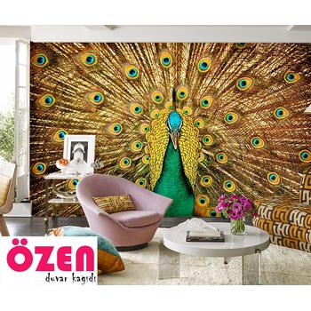 Muhteşem Tavus Kuşu Duvar Kağıdı