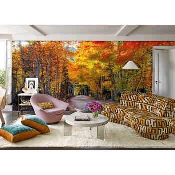 Mükemmel Sonbahar Ağaçları Arasında Derin Yol