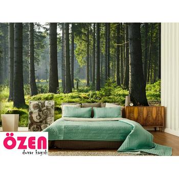 Orman Manzaralı Duvar Kağıdı