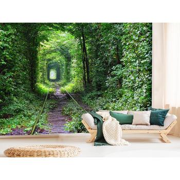 Orman içerisinde Tren Yolu Derinlik