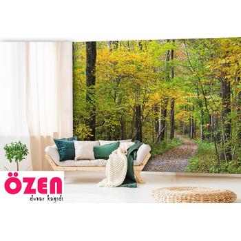 Orman içerisinde Yapraklarla Kaplı Yol