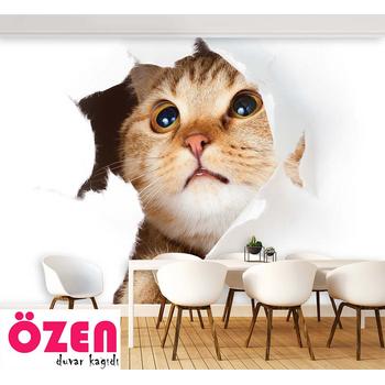 Sevimli Kedi Duvar Kağıdı