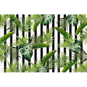 Siyah Beyaz Çizgili Zemin Tropikal Yapraklar Duvar Kağıdı 300x200 cm