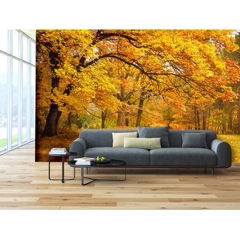 Sonbahar Ağaçlar ve Yapraklar Duvar Kağıdı