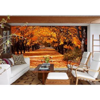 Sonbahar Ağaçları Manzarası