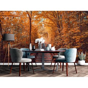 Sonbahar Ormanı Derin Tünel Manzarası Duvar Kağıdı