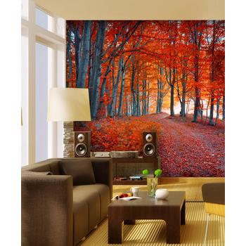 Sonbahar Ormanları Duvar Kağıdı