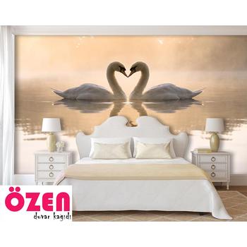 Su Üzerinde Romantik Kuğular Duvar Kağıdı