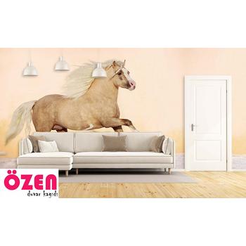 Süslü Yarış Atı Duvar Kağıdı