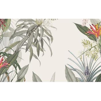 Tropical Jungle Ağaçlar ve Yapraklar Duvar Kağıdı 300x200 cm