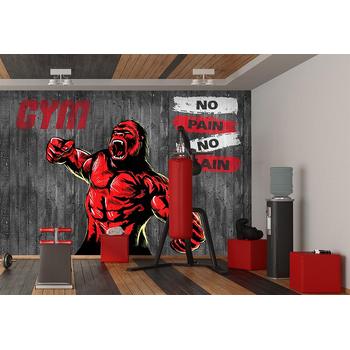 Boks Vücut Geliştirme GYM Salonu Duvar Kağıdı