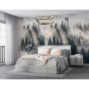 Bulutlar içerisinde Orman Manzarası