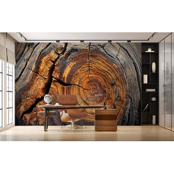 Büyük Ağaç Gövdesi Gerçekçi Etki 3D Duvar Kağıdı