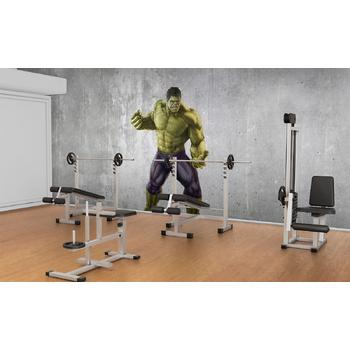Hulk Spor Salonu Duvar Kağıdı , Yeşil Dev Hulk GYM Salonu Duvar Posteri