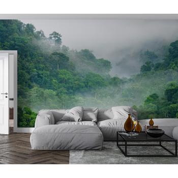 Sisli Orman Manzarası Son Moda Duvar Kağıtları