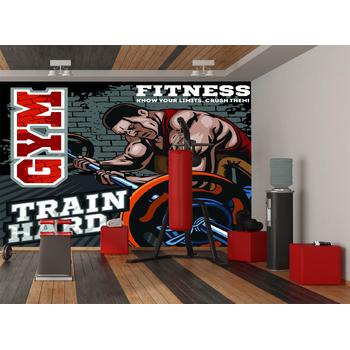 Vücut Geliştirme Salonu Duvar Kağıdı -GYM Salonu Duvar Kağıdı - Spor Salonu Duvar Kağıdı