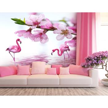 Flamingo Duvar Kağıdı 14