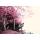 Pembe Yapraklı Romantik Ağaçlar Duvar Kağıdı