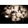 Siyah Zemin Beyaz - Krem Çiçekler Duvar Kağıdı